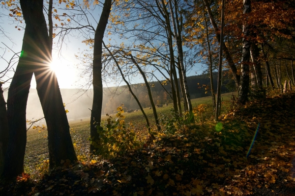 A86