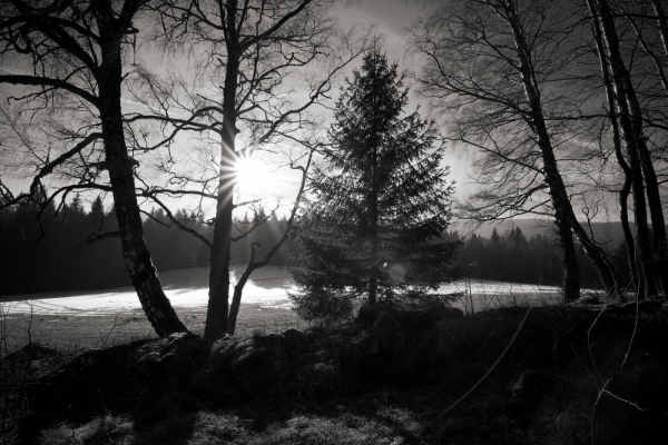 A79